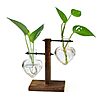 XXXFlower 2-Love Bulb Vase Plant Terrarium Air Planter w/ Wooden Stand $9.79 + Free Shipping w/ Prime or on $35+