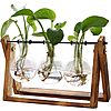 XXXFlower 3-Bulb Vase Plant Terrarium Air Planter w/ Wooden Stand $9.87 + Free Shipping w/ Prime or on $35+