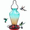 25-Oz Hanging Glass Hummingbird Feeder with 5-Flower Feeding Ports