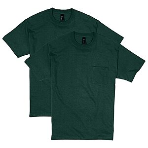 2-Pack Hanes Men's 100% Cotton Heavyweight Pocket T-Shirt (Deep Forest) .45