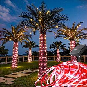 2-Count 33Ft 100LED Honche Solar Rope Tube Lights (Solar-Candy) $9.19 + Free Shipping w/ Prime or on $35+