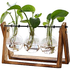 XXXFlower 3-Bulb Vase Plant Terrarium Air Planter w/ Wooden Stand