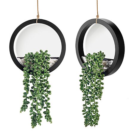 2-Pack Der Rose Hanging Artificial Succulents Plants (Black) $11.19 + Free Shipping w/ Prime or on $35+