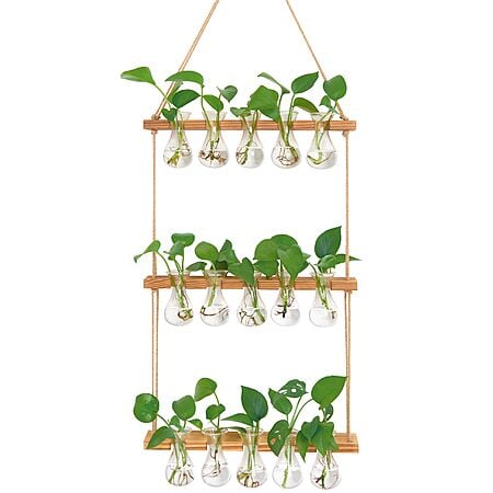 3-Tier XXXFLOWER Wall Hanging Propagation Station w/ Wooden Stand $16.79 + Free Shipping w/ Prime or on $35+