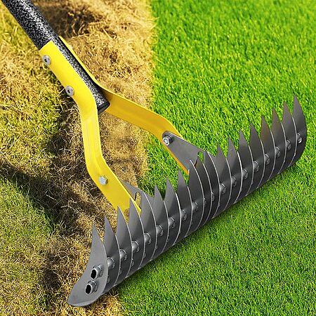 cogardenshower 15" Dual-Action Thatch Rake for Lawn w/ 55" Long $11.94 + Free Shipping w/ Prime or on $35+