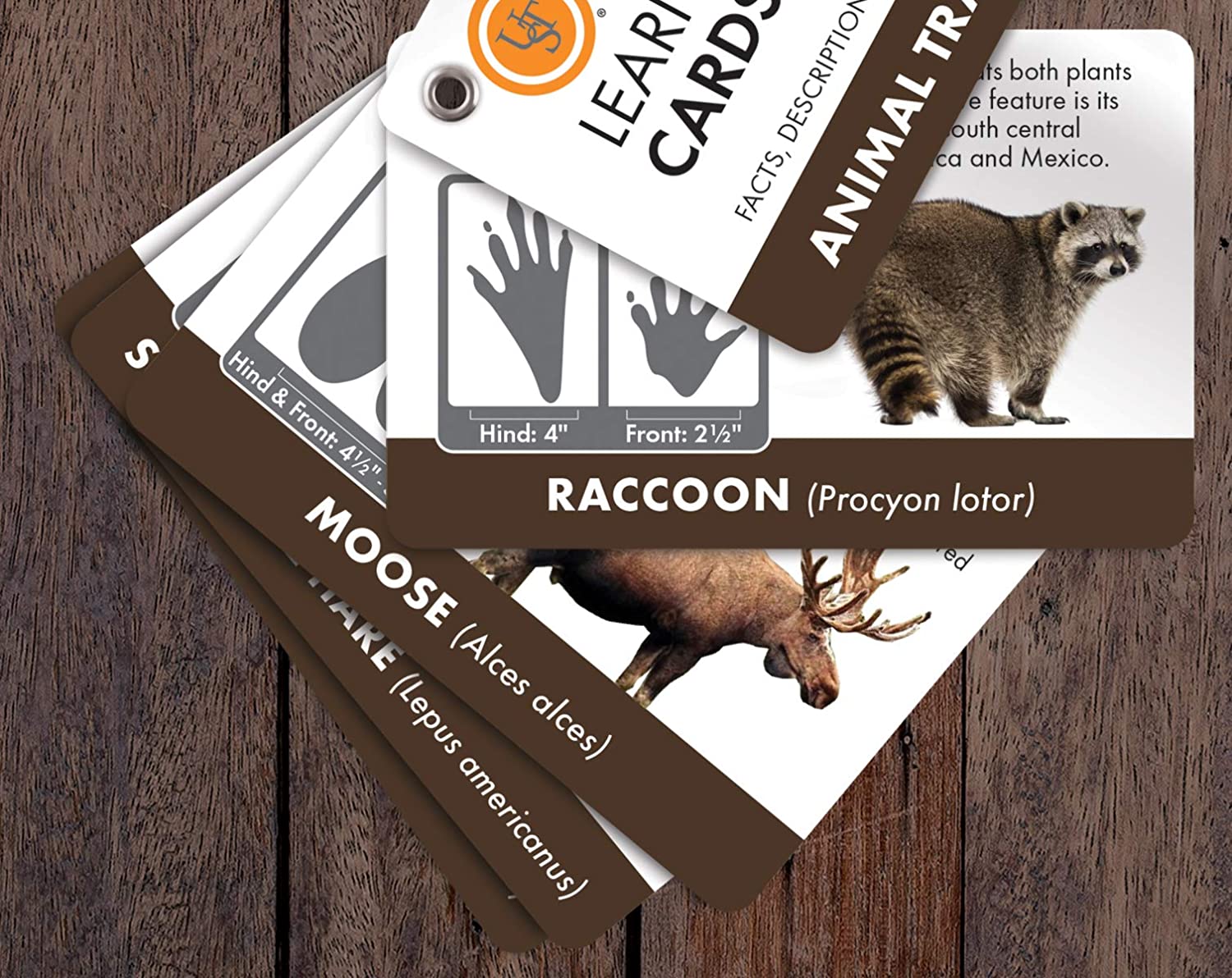UST Learn & Live Educational Card Set with Durable, Waterproof, Compact Design and Essential Outdoor Skills for Hiking, Camping and Outdoor Survival [Animal Tracking] $1.97
