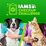 IAMS™ Checkup Challenge - $50