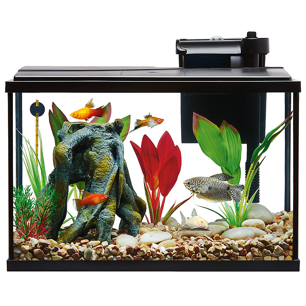 Top Fin Essentials Aquarium Starter Kit 20Gallon 50, 10Gallon