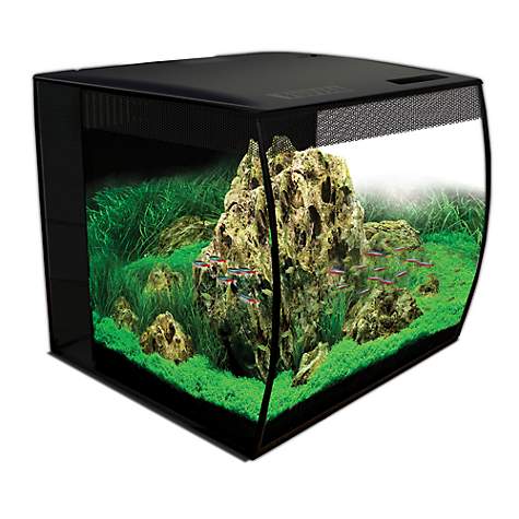 Fluval Flex 15 Gallon Freshwater Aquarium Kit Slickdeals Net