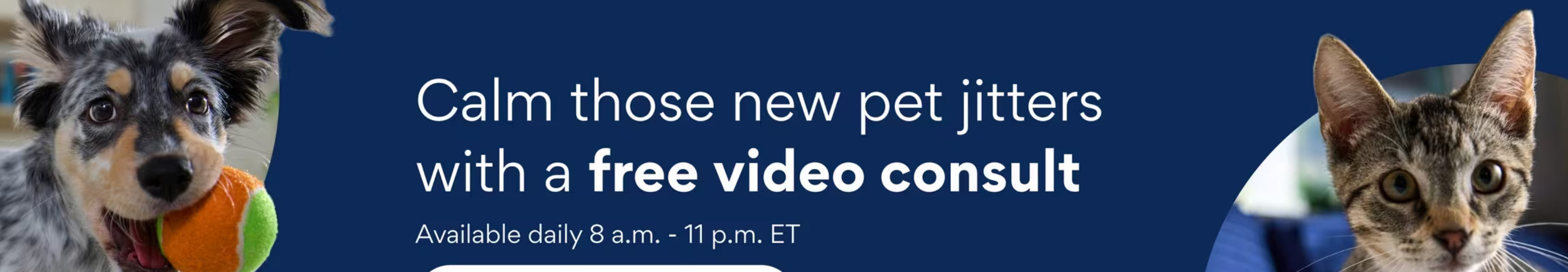 Talk to a Veterinarian Online FREE (temporary price)