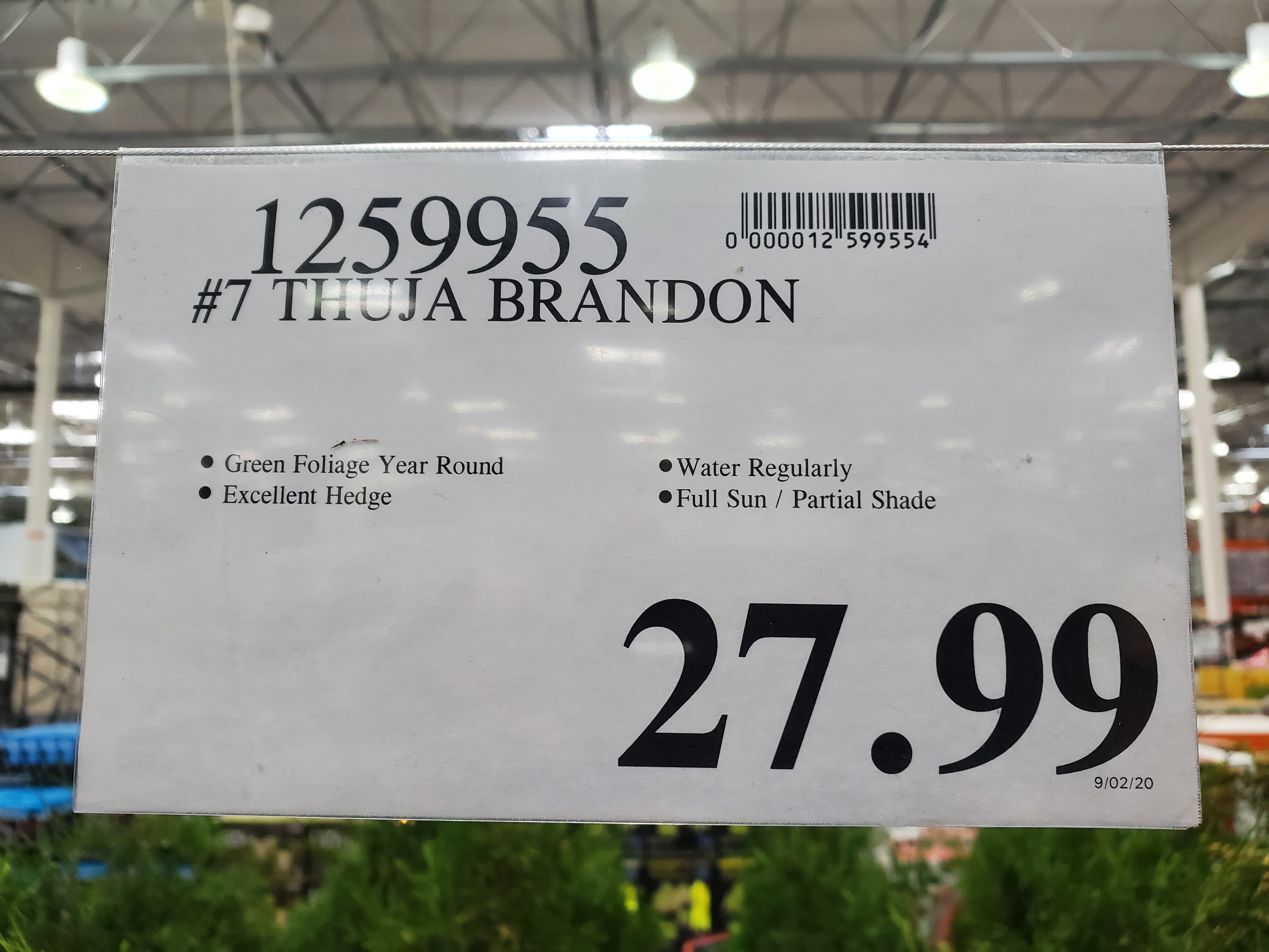 wireless dog fence costco
