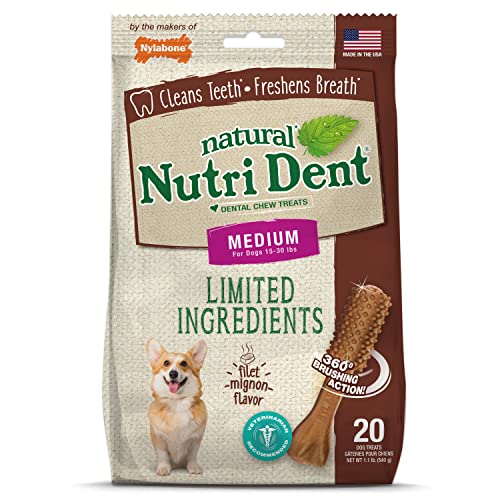 (20 count) Nylabone Nutri Dent Filet Mignon Flavored Dog Dental Chews (Medium) $5.70 + FS w/ S&S