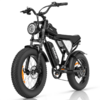 RIDSTAR Q20 Lite 20&amp;quot; Fat Tire Electric Bike $510 + Free S/H
