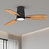 TALOYA Ceiling Fans: 42&amp;quot; $33.50, 52&amp;quot; $37.50 + Free S/H