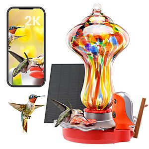 BBPECO Glass Smart Hummingbird Feeder w/ 2K Solar Powered Camera (2 Designs)  + Free Shipping