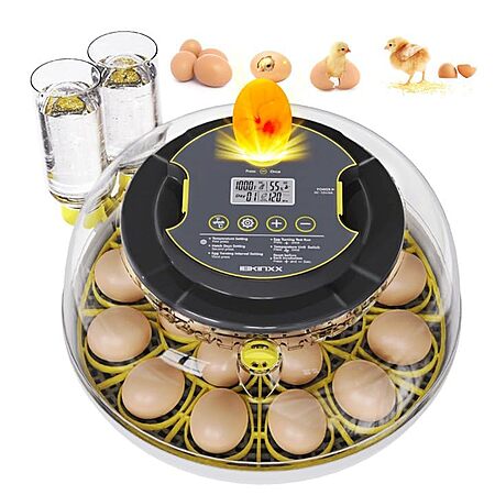 50% Off Egg Incubator — Only $22!