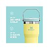 Stanley IceFlow 2.0 Flip Straw Tumbler with Handle 30 oz (Prickly Pear) $17.99