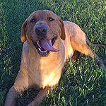 daiwa lady samurai x spinning combo