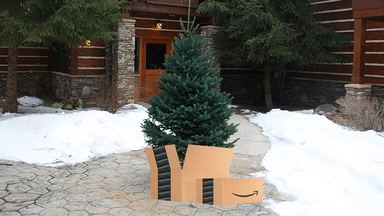 Is buying a real Christmas tree from Amazon a good idea ...