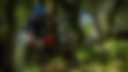 Great mountain bikes for less.